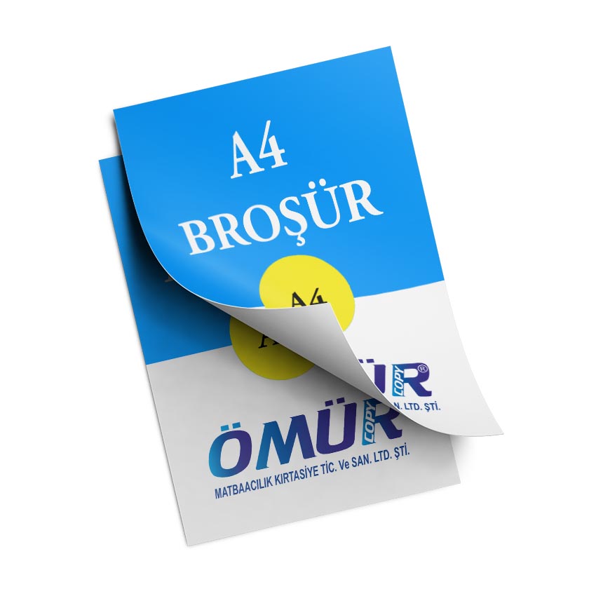 Broşür ve El ilanı