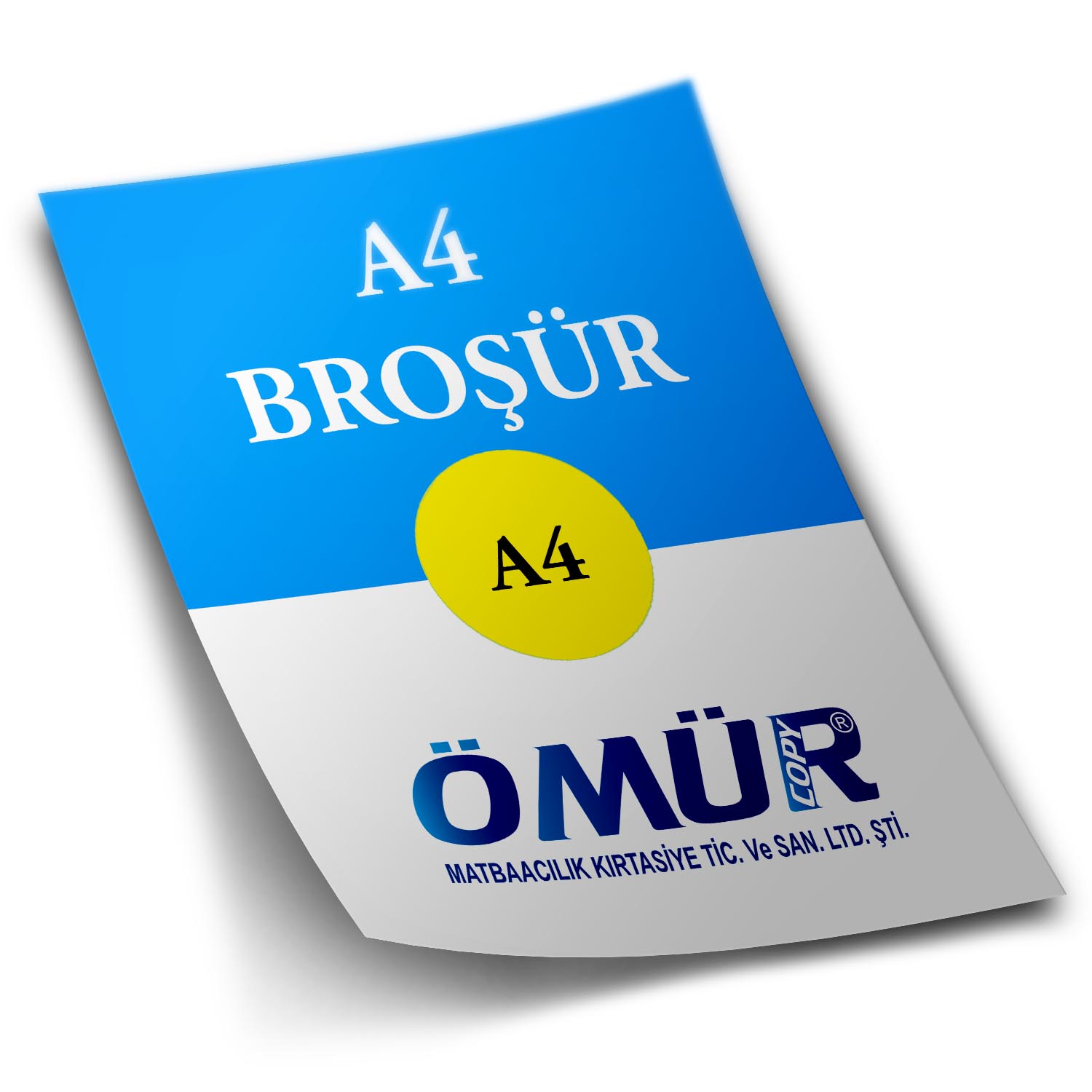 Broşür ve El ilanı