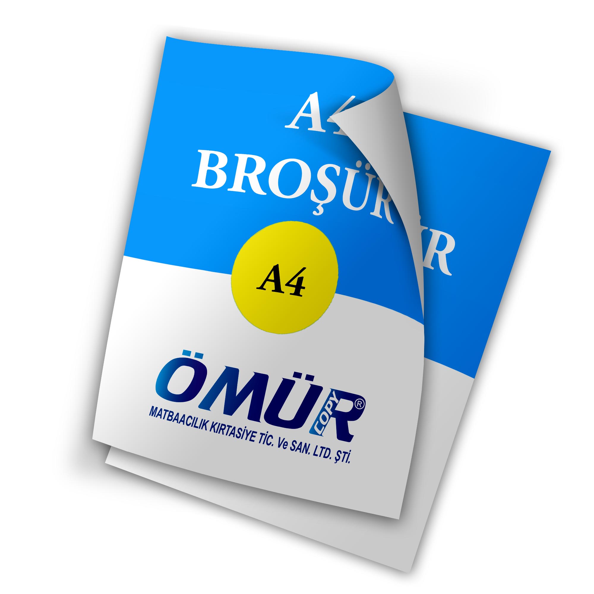 Broşür ve El ilanı