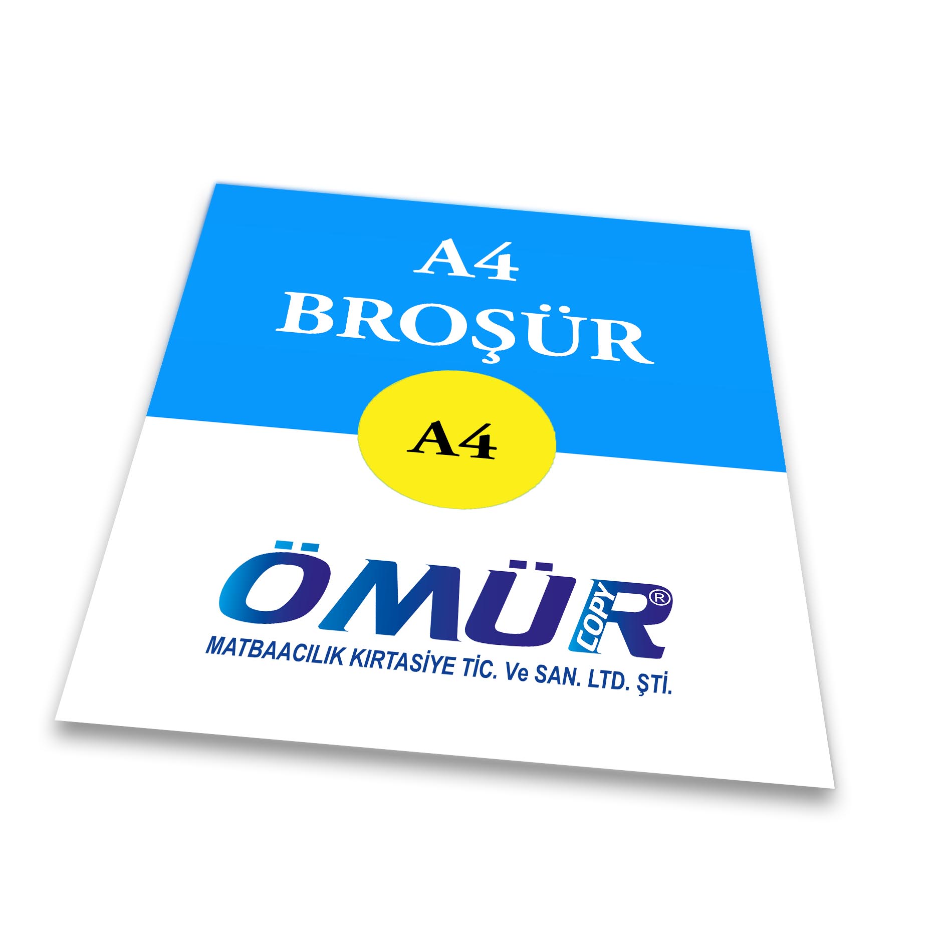 Broşür ve El ilanı