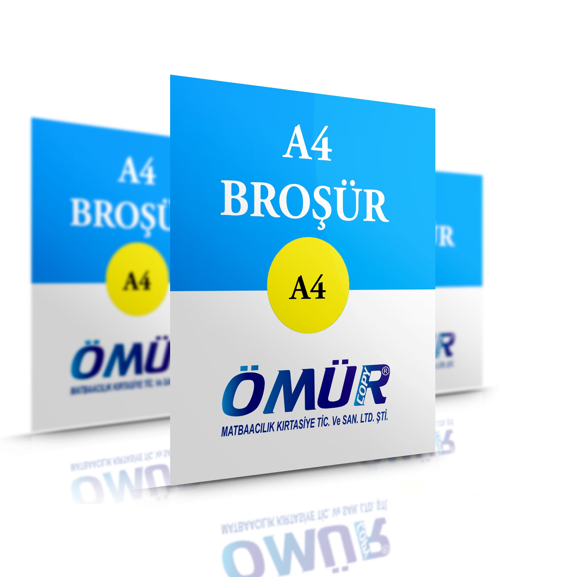 Broşür ve El ilanı