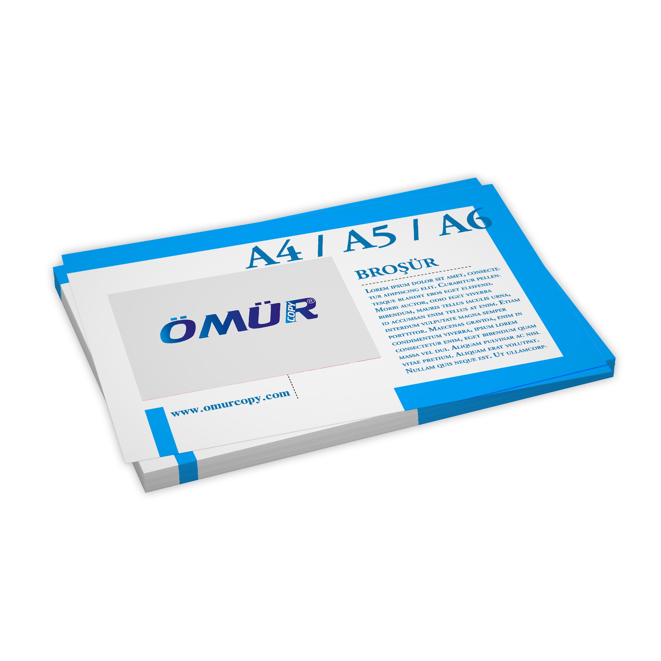 Broşür ve El ilanı