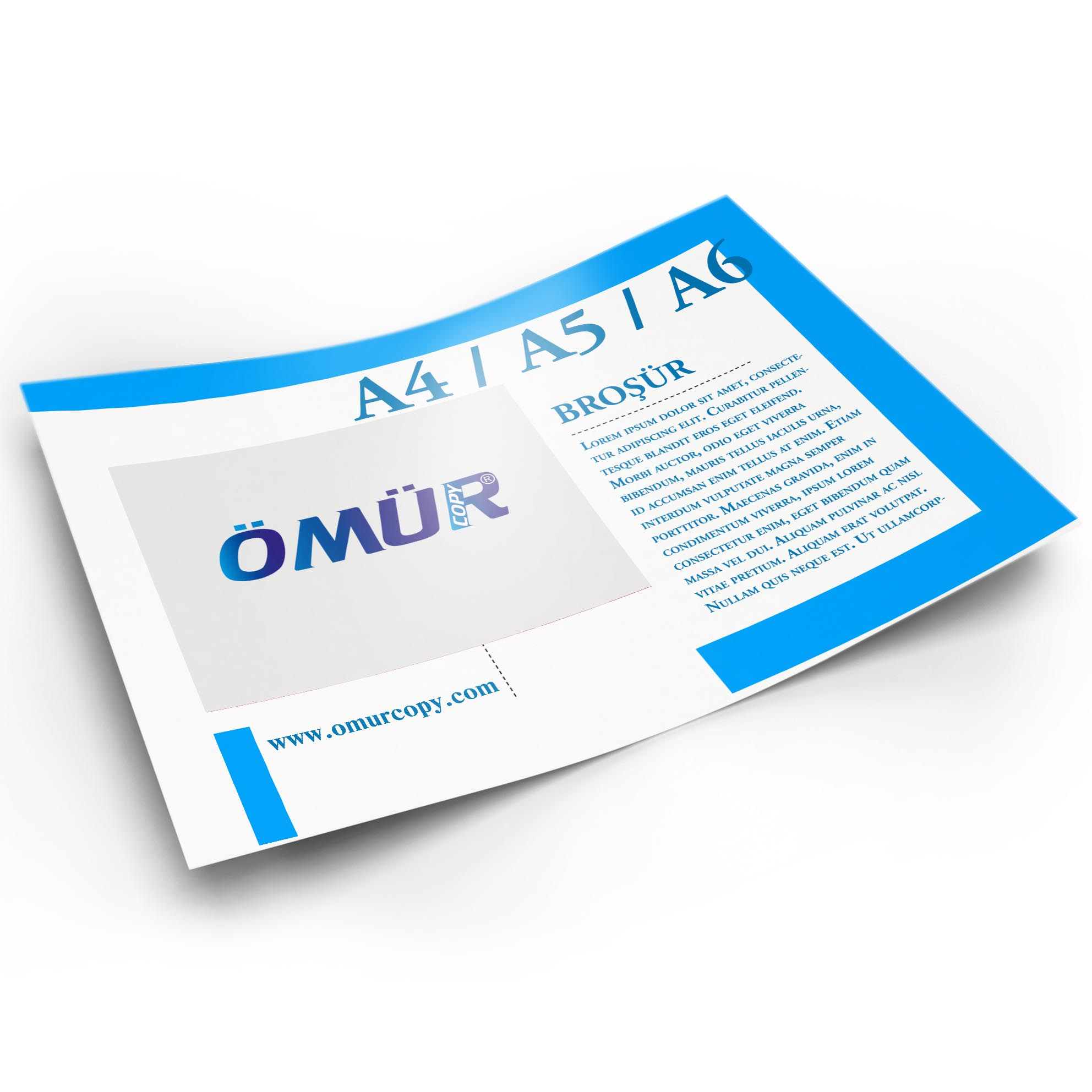 Broşür ve El ilanı