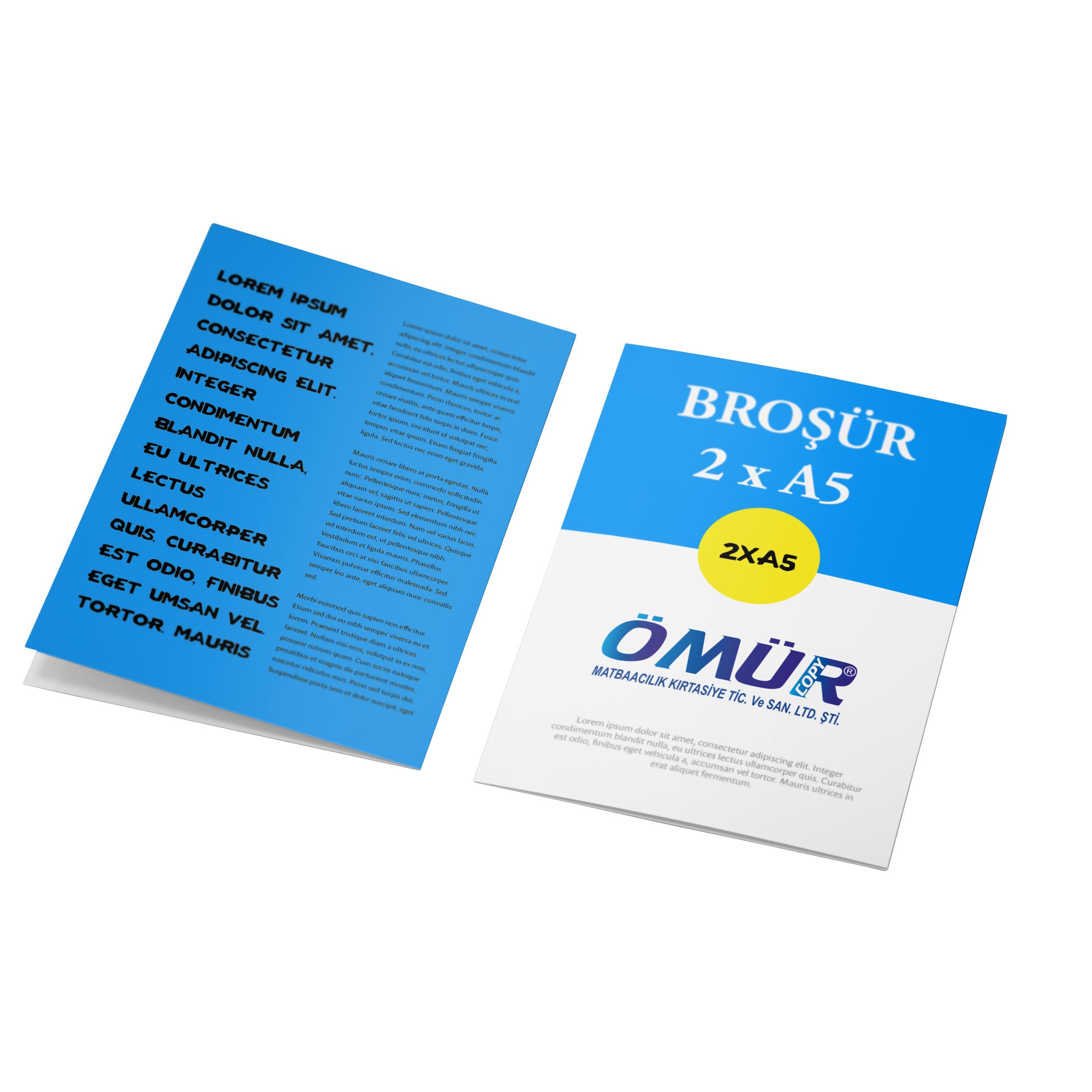 Broşür ve El ilanı