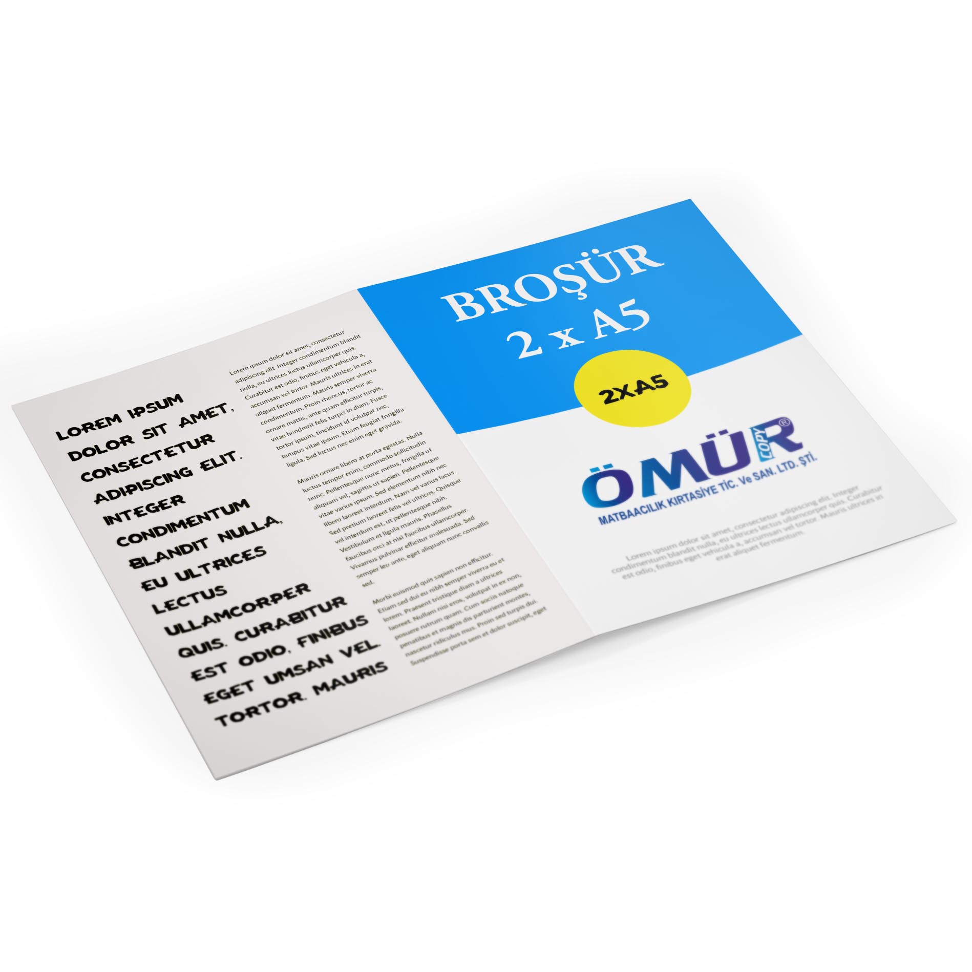 Broşür ve El ilanı