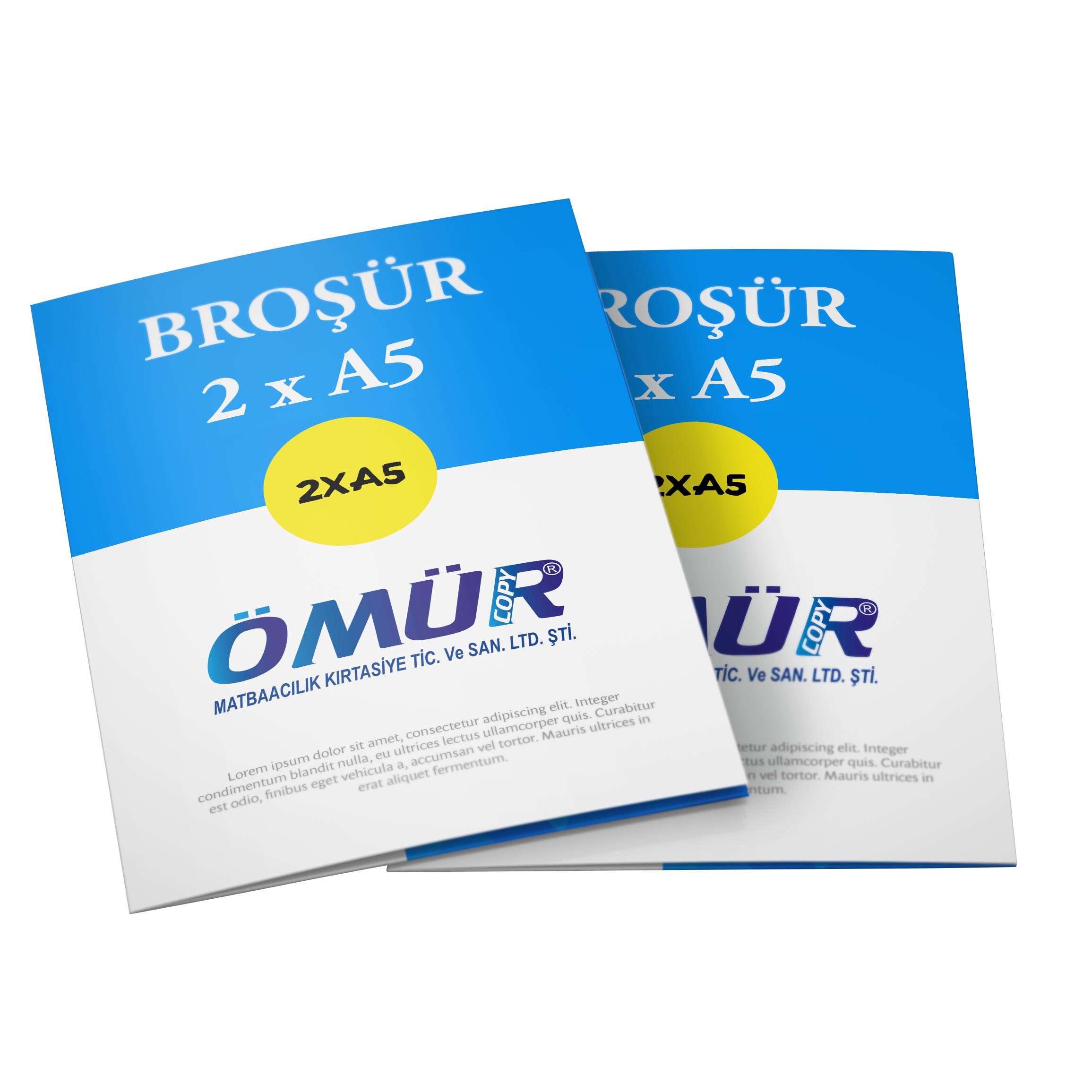 Broşür ve El ilanı