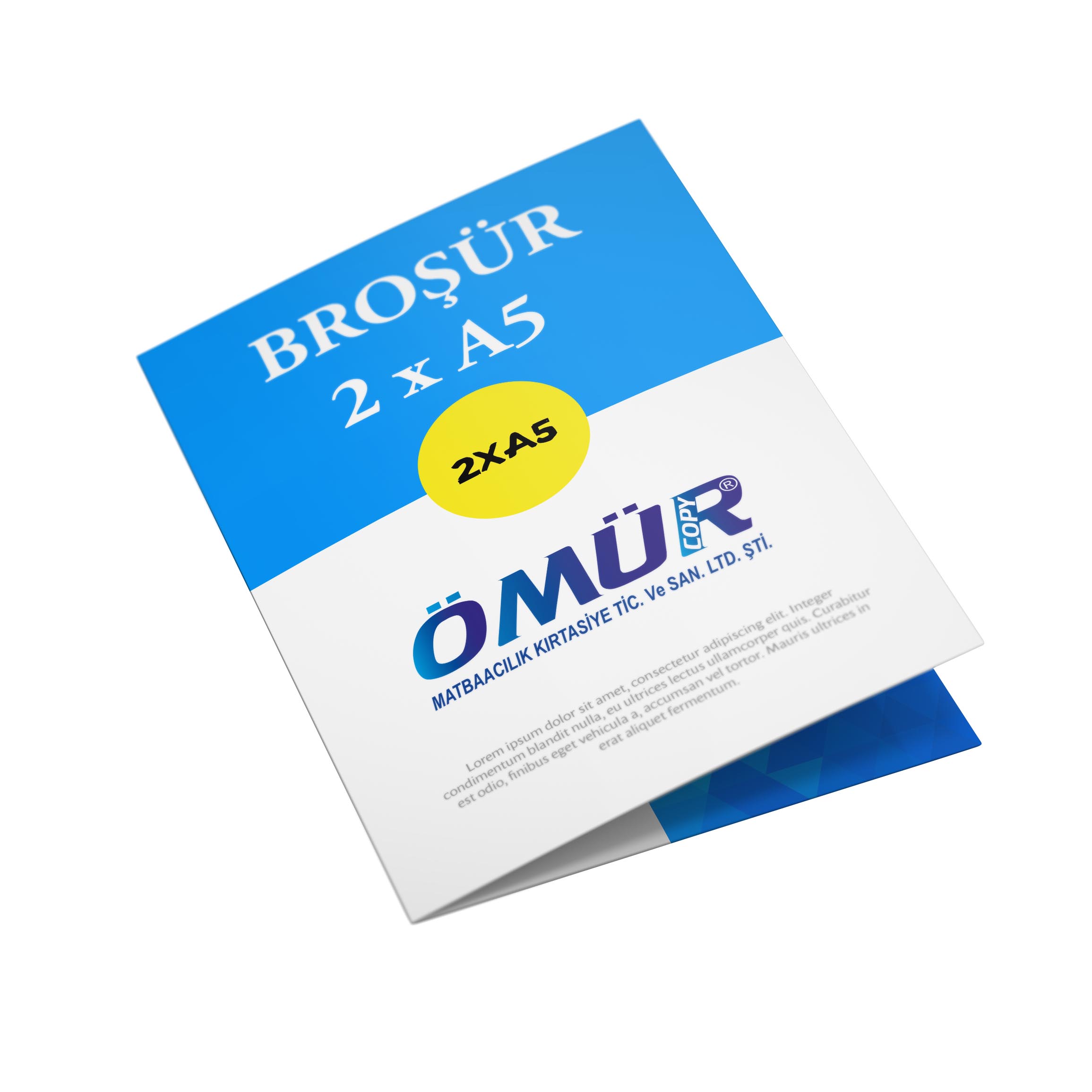 Broşür ve El ilanı