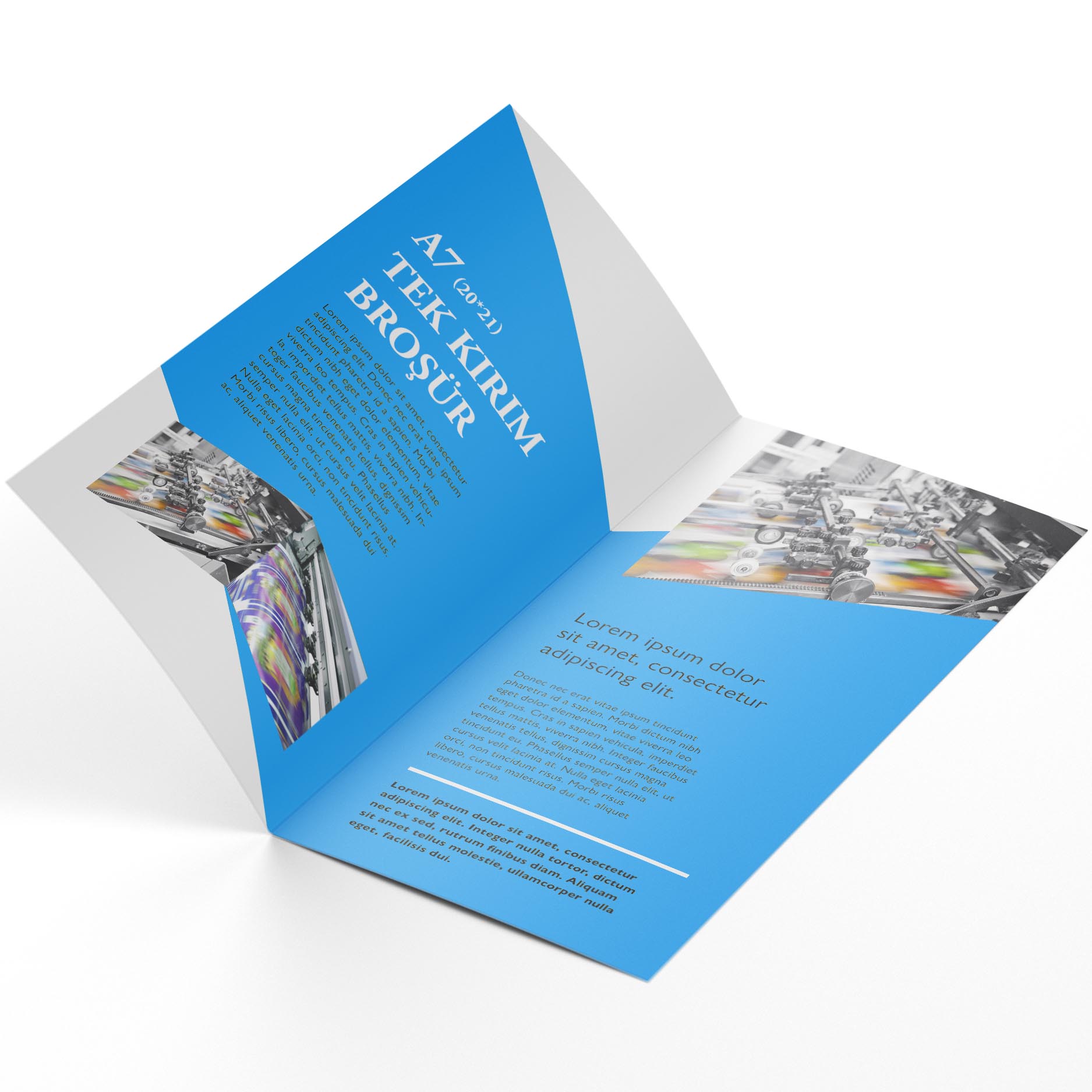 Broşür ve El ilanı