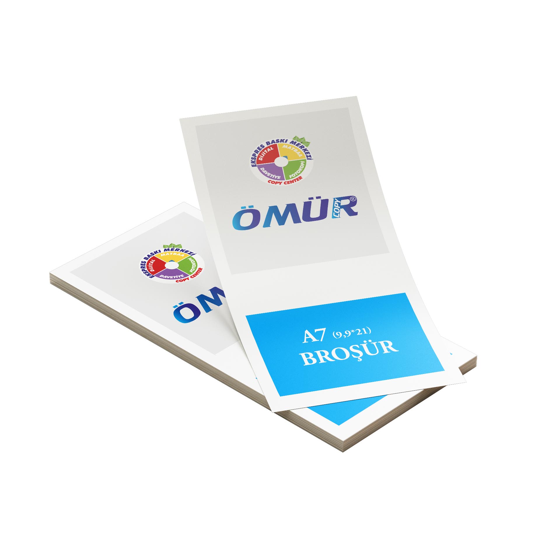 Broşür ve El ilanı