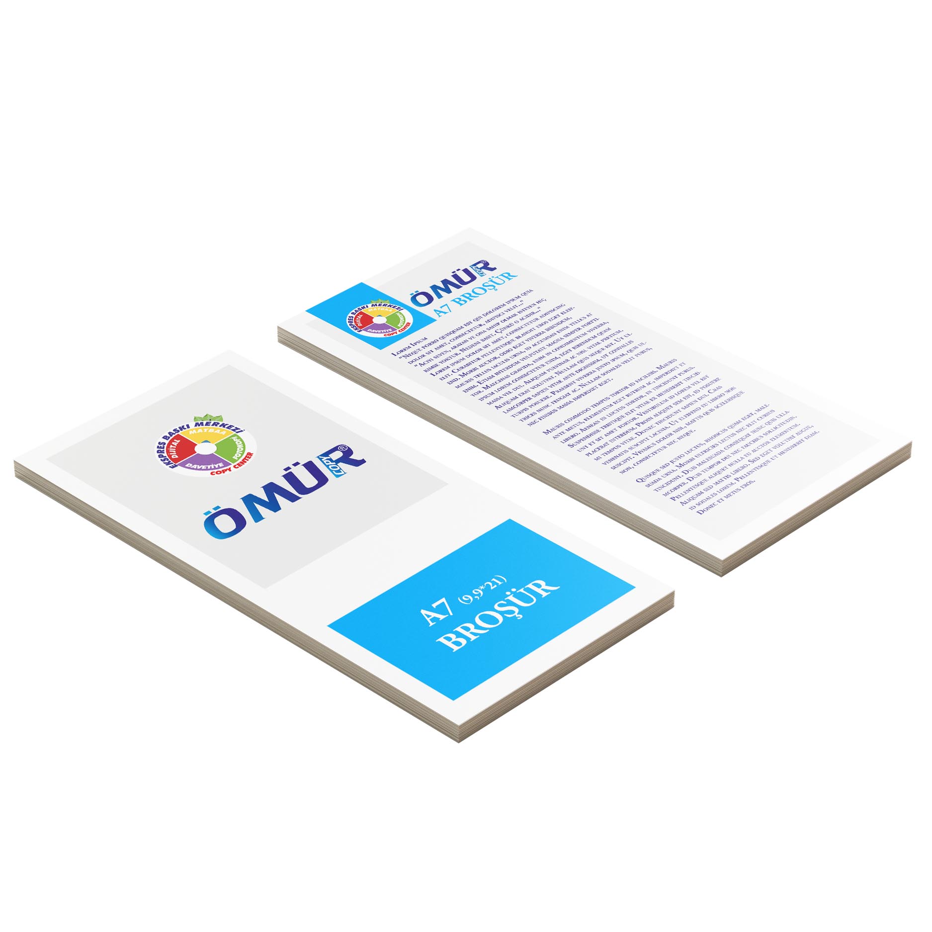 Broşür ve El ilanı