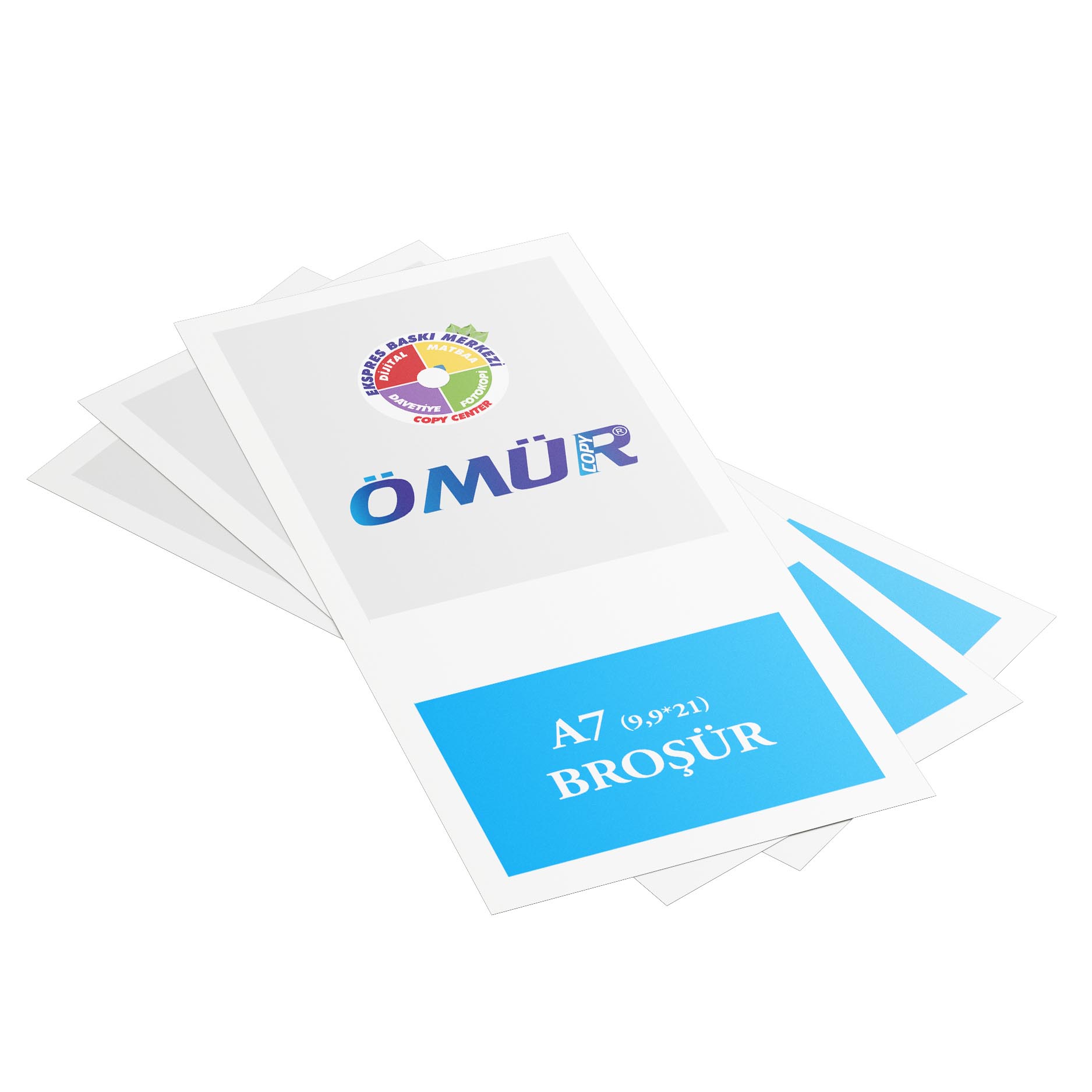 Broşür ve El ilanı